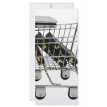 JobShopping032309-2 rack cards
