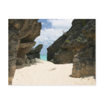 Jobsons Cove Bermuda Postcard