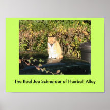 Joe Schneider of Hairball Alley Poster