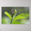 Joel 2:25 Scripture Poster (Version C) posters