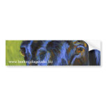 Joe's Eyes Bumper Sticker