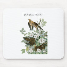 John James Audubon Carolina Pigeon Mourning Dove 1 Mouse Pad