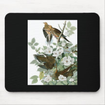 John James Audubon Carolina Pigeon Mourning Dove Mousepad