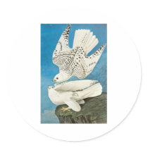 John James Audubon Gyrfalcon stickers