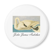 John James Audubon Trumpeter Swan magnets