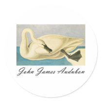 John James Audubon Trumpeter Swan stickers
