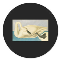 John James Audubon Trumpeter Swan stickers