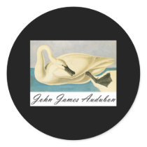 John James Audubon Trumpeter Swan stickers