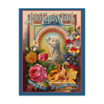 John Lewis Childs Rare Flowers Seed Packet Postcards