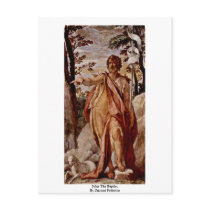 John The Baptist, By Zuccari Federico Post Card