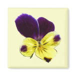 Johnny Jump Up Magnet