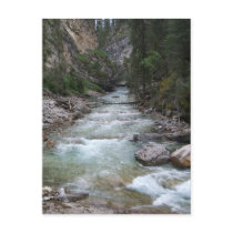 Johnston Canyon Step Falls Postcards
