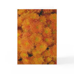 Joie de Vivre (3) Greeting Card