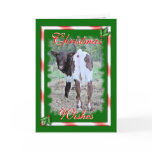 JoleeChristmas-customise