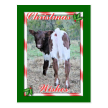 JoleeChristmasPcard-customise Post Card