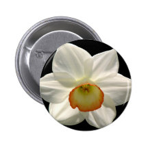 Jonquil/Daffodil Pins