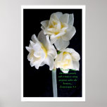 Jonquil Flower - Ecclesiastes 3:1 Poster