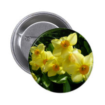 Jonquils/Daffodils/Narcissus Button