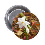 Jonquils white buttons