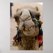 Jordan, Ancient Nabataean city of Petra. Local Posters
