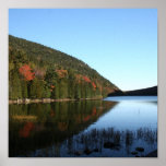 Jordan's Pond Still Life Poster