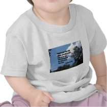 Joshua 24:15 t shirt