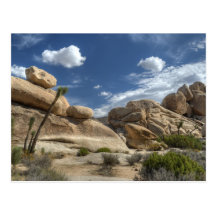 Joshua Tree, California Postcards