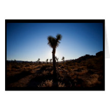 Joshua Tree Card