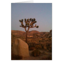 Joshua tree greeting card