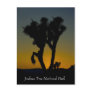 Joshua Tree National Park, California Postcard