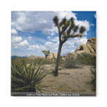 Joshua Tree National Park, California, U.S.A. magnets