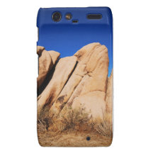 Joshua Tree National Park Motorola Droid RAZR Cases
