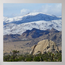 Joshua Tree National Park Poster