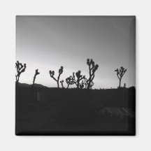 joshua tree panorama refrigerator magnets