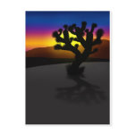 Joshua Tree Post Card