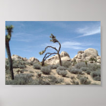 JOSHUA TREE POSTER