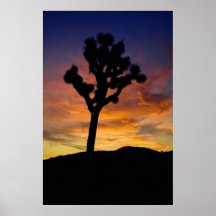 Joshua Tree Posters
