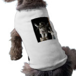 Joy pet clothing