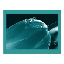 Joy Ice Aqua, Postcard, Tulip & Waterdrops