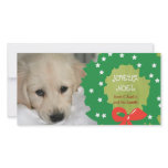 Joyeux Noel Dog Photo Cards Wreath Green