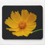 Joyful yellow flower and meaning mousepads