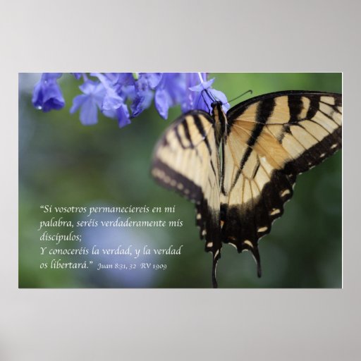 Juan 8:31,32 con Mariposa Tiger Swallowtail Poster