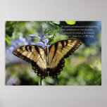 Juan 8 con mariposa Tiger Swallowtail Poster