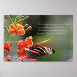 Juan 8 con mariposa Zebra Longwing Posters