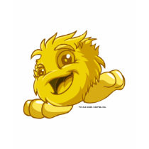 JubJub Gold t-shirts