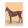 Jucker "Sütveny" Horse by Thomas von Nathusius Postcards