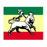 Judah Lion, Estonia flag photo sculptures