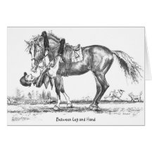 JudeToo LB28 Card