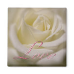 Judi's Rose - Love magnets