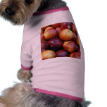 Juicy Red apples pet clothing